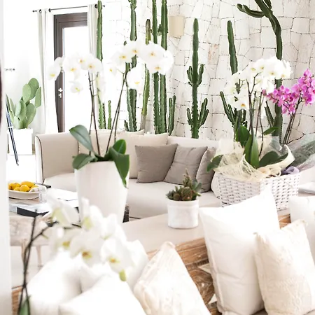 Canne Bianche Lifestyle فندق توري كان