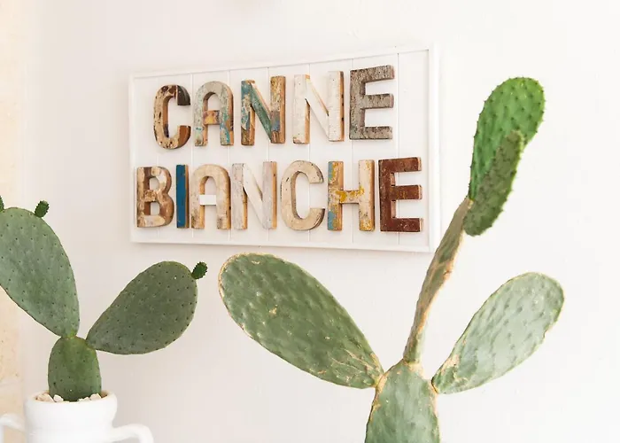 Canne Bianche Lifestyle